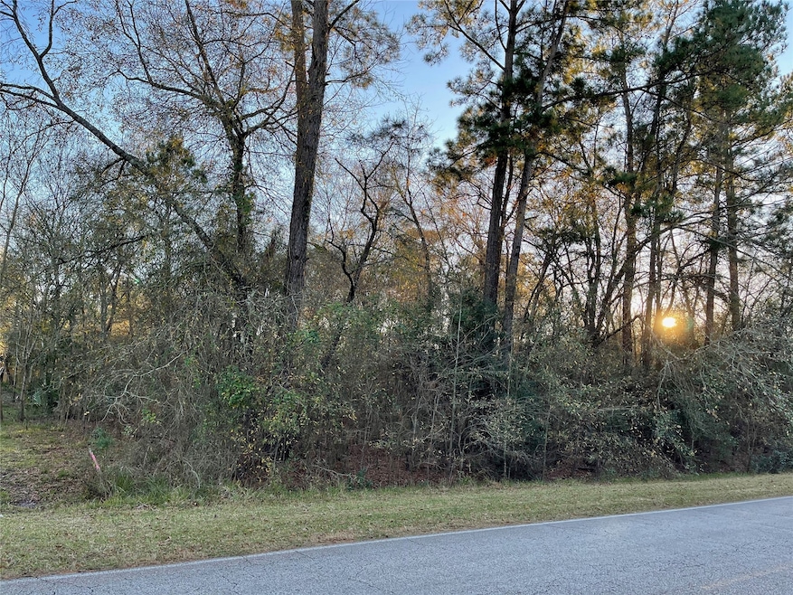 0 Riverbrook Dr unit 46053086, Conroe, TX 77385 - photo 1