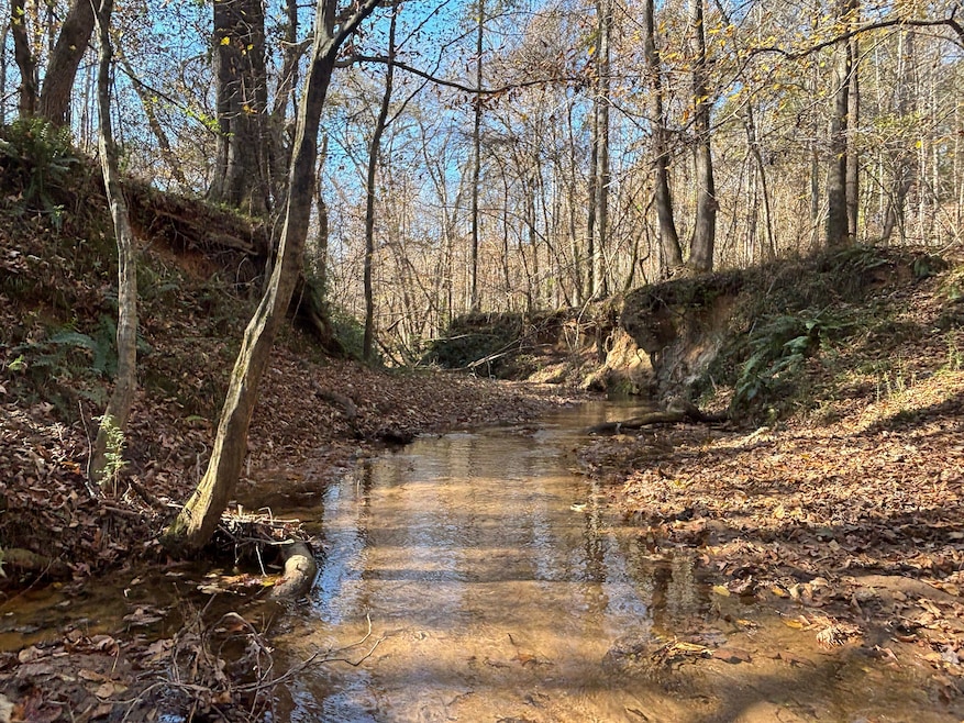 1597 Oconee Rd, Buckhead, GA 30625 - photo 1