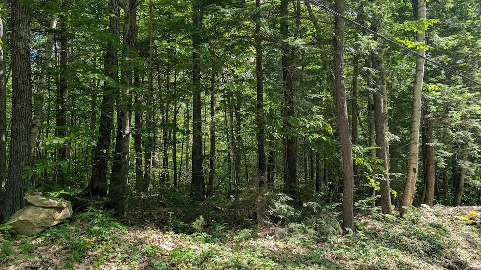 lot 36-C Diller Line Rd, Chesterville, ME 04938 - photo 1