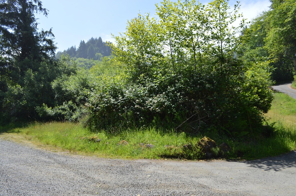Lot from Street