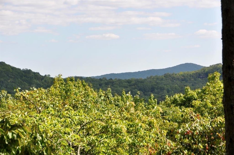 View of mountain backdrop with a forest