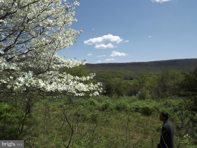 0 Big Spring Rd unit 1003964598, Doylesburg, PA 17219 - photo 1