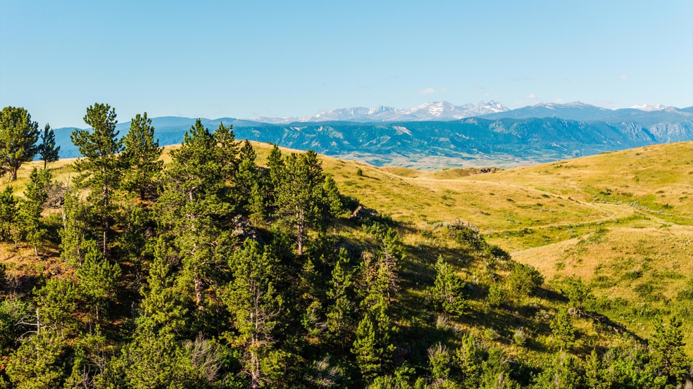 001_dji_20240705075031_0501_d_75