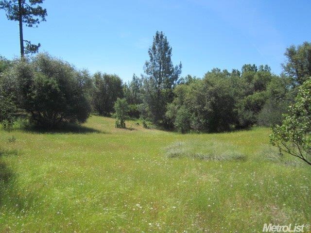 2580 Gravel Rd, Placerville, CA 95667 - photo 1