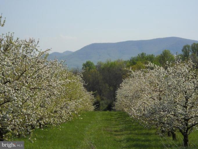 0 Buffalo Marsh Rd unit 1004780466, Middletown, VA 22645 - photo 1