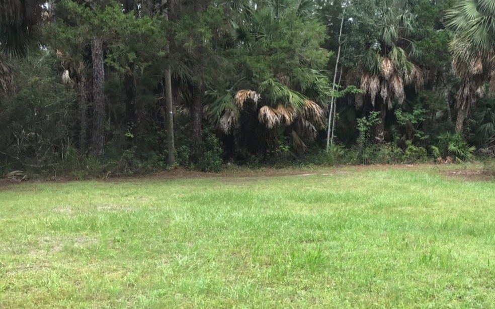 108 8th St SE, Steinhatchee, FL 32359 - photo 1