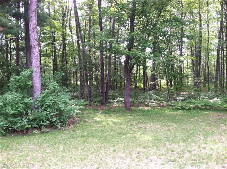 1854 Beaver Rd, Bitely, MI 49309 - photo 1