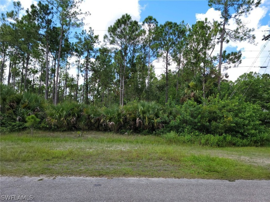 509 Montclair Ave S, Lehigh Acres, FL 33974 - photo 1