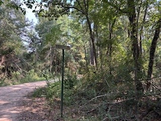 This photo shows a serene wooded area with a dirt path, surrounded by lush greenery and trees, offering a peaceful, nature-filled setting.
