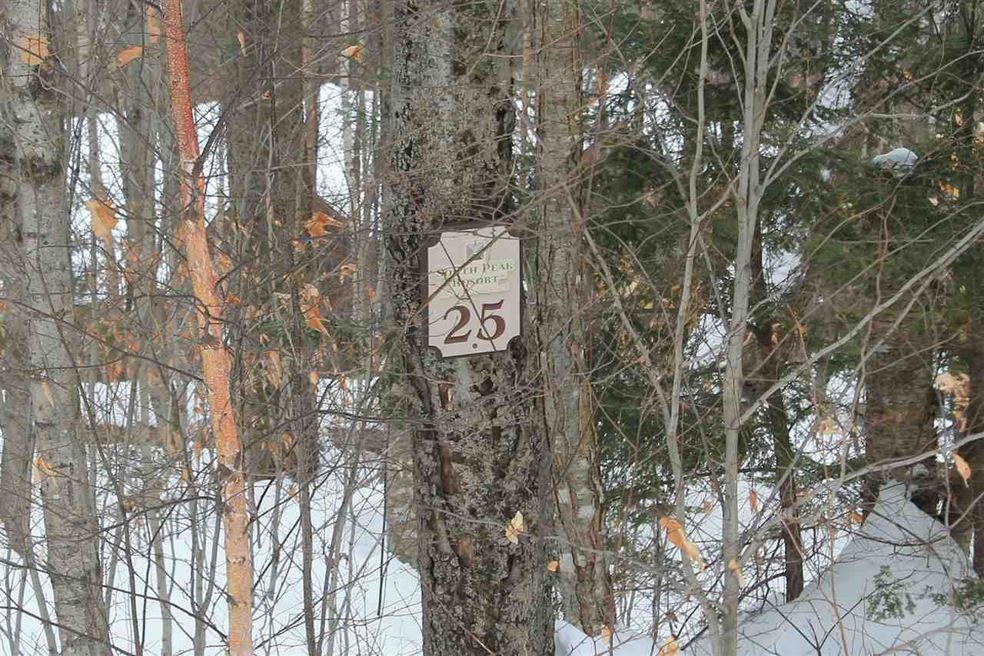 19 Hemlock Dr unit Homesite 25, Lincoln, NH 03251 - photo 1