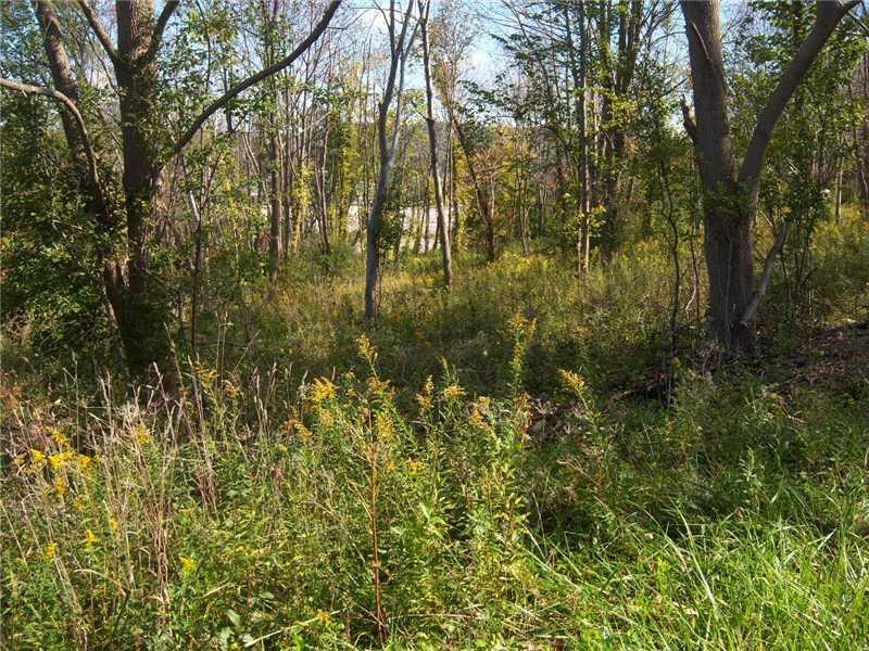 Land/Lot.