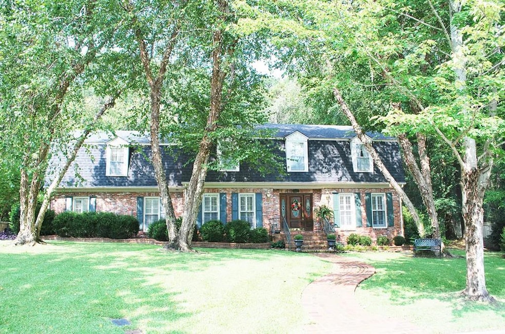 Main View