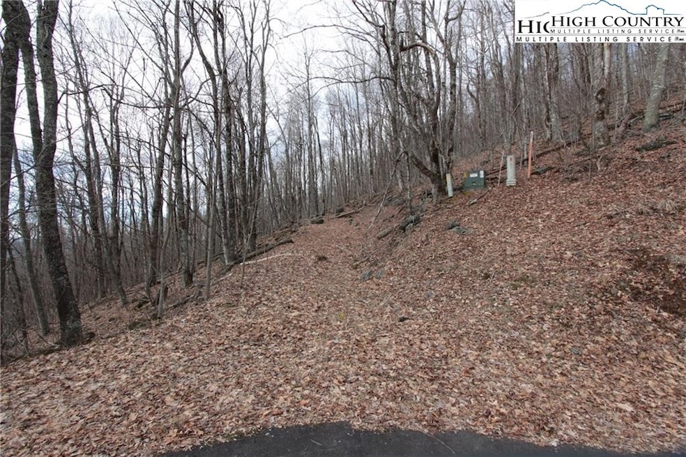 TBD Maple Tree Ln, West Jefferson, NC 28694 - photo 1