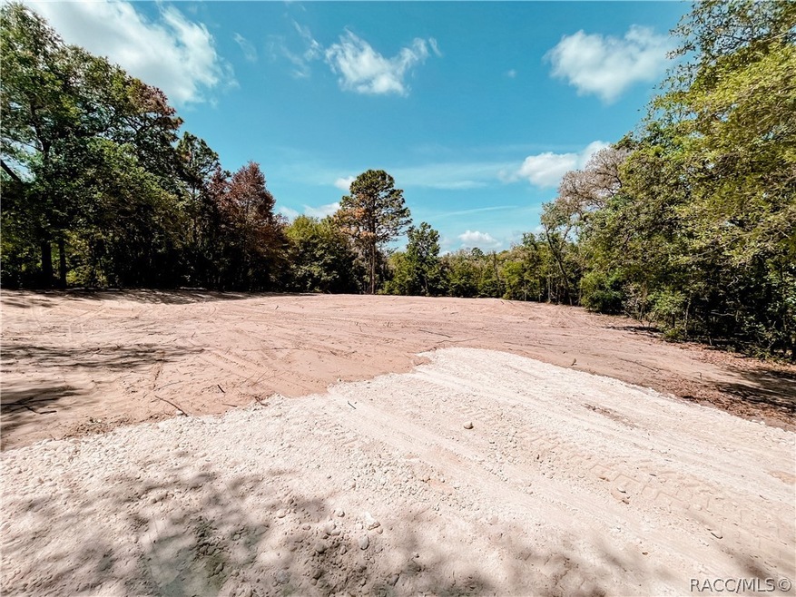 288 E Brandon St, Hernando, FL 34442 - photo 1