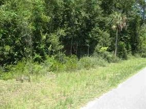 XX Sharonwood Dr, Crawfordville, FL 32327 - photo 1