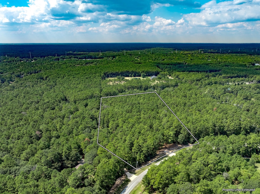 17526 E Terrace Oaks Dr, Waller, TX 77484 - photo 1