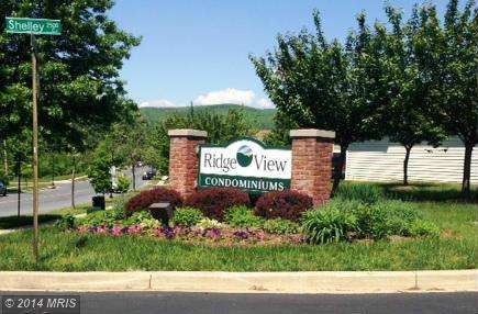2504 Shelley Cir unit 3C, Frederick, MD 21702 - photo 1
