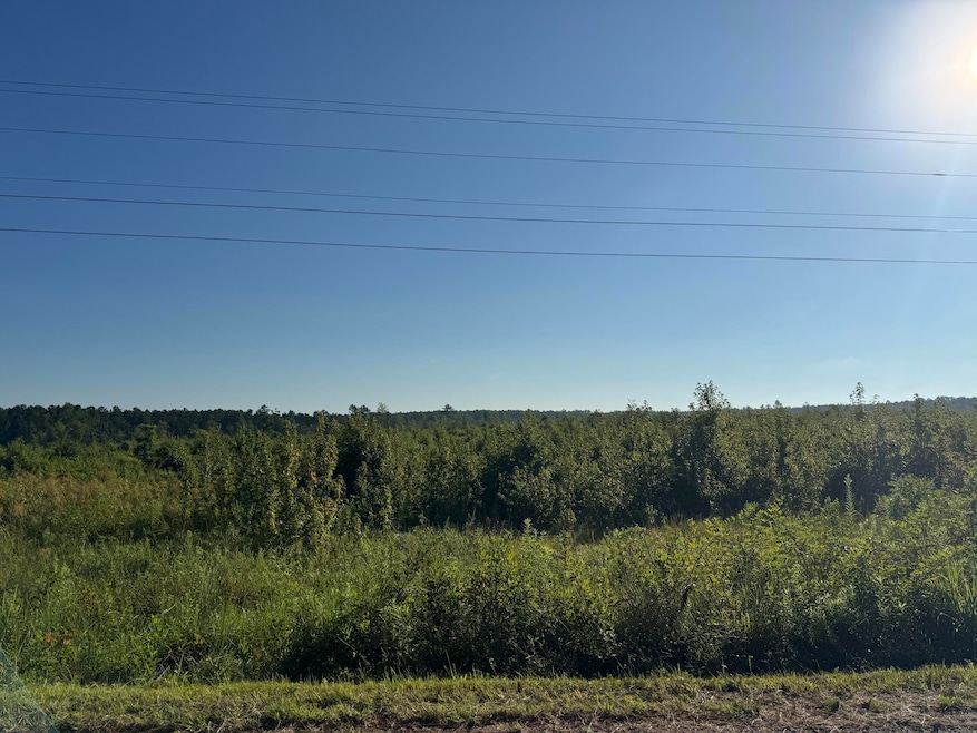 11ac Ouzts Rd, Edgefield, SC 29824 - photo 1