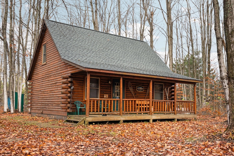 4232 Snowridge Trail, Elmira, MI 49730 - photo 1