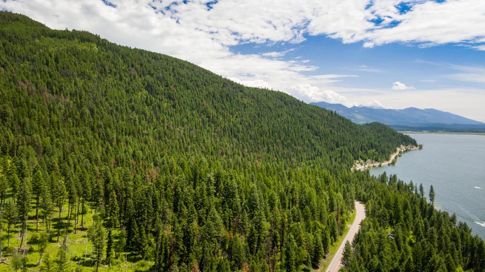 Nhn Mt Hwy 83, Swan Lake, MT 59911 - photo 1