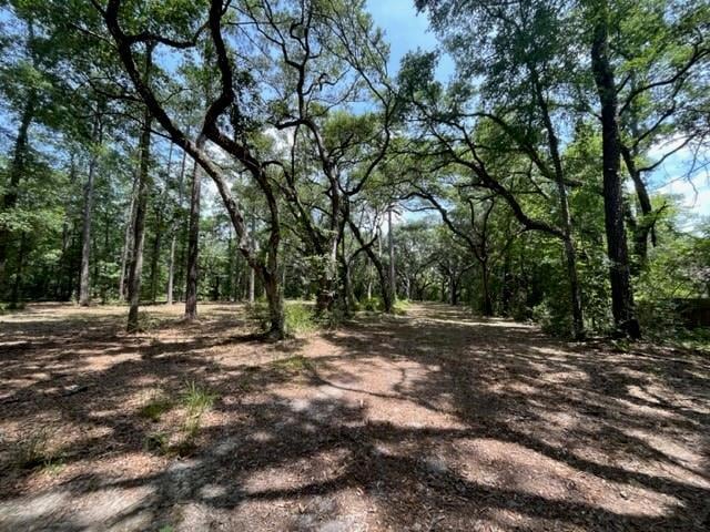 00000 Louisville St, Lacombe, LA 70445 - photo 1