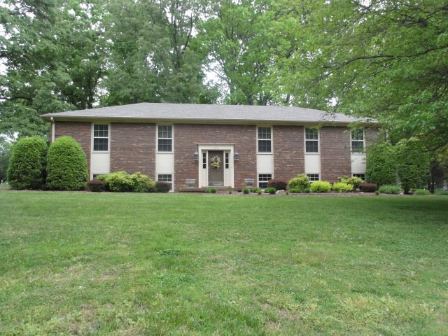 Main View