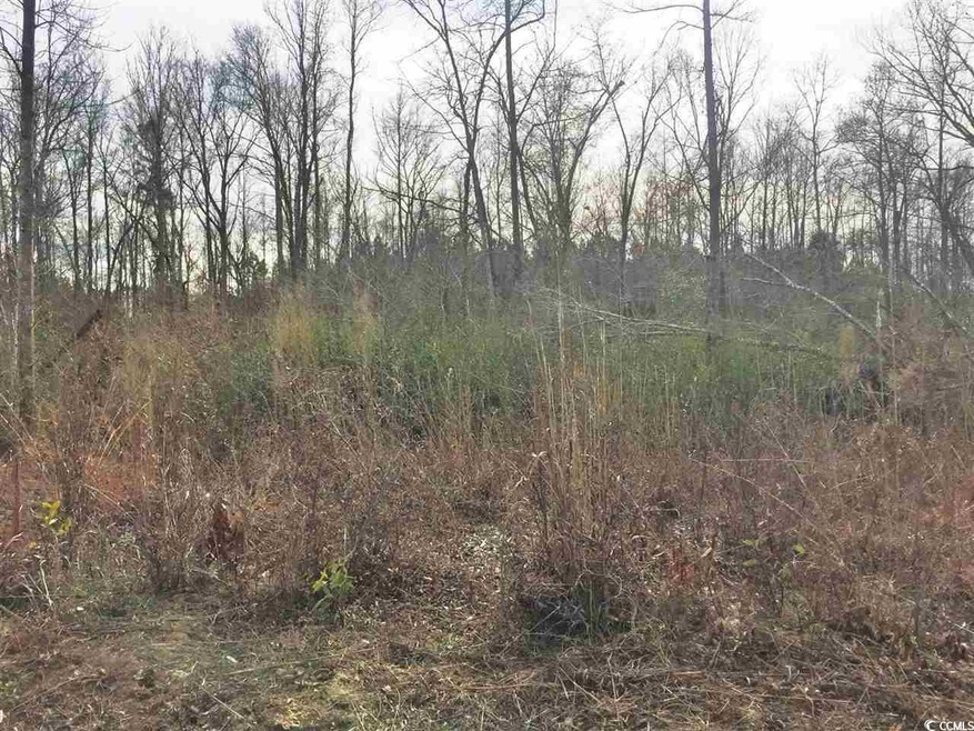 1028 Merritt Rd unit 1016 Merritt Road, Conway, SC 29526 - photo 1