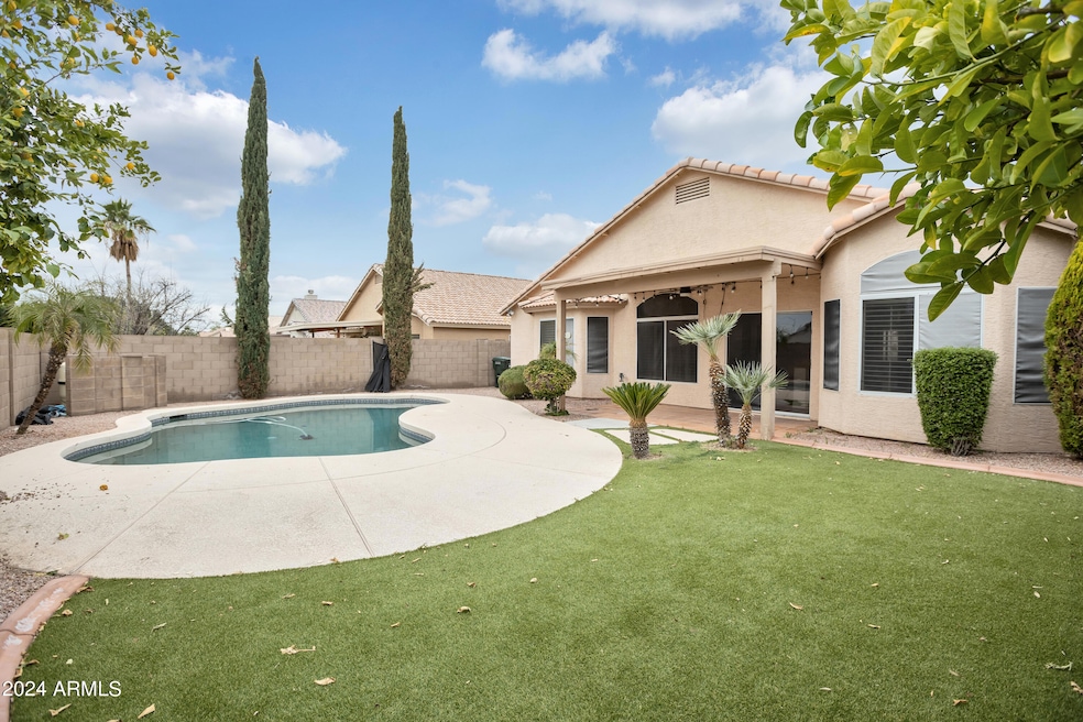Resort Style Backyard