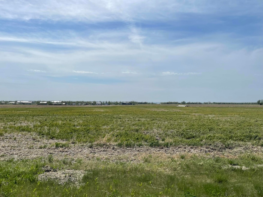 Lot 21