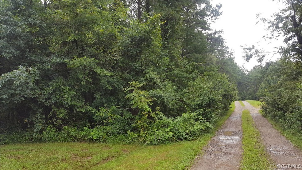 0 Hills Fork Ln unit 1828150, King William, VA 23086 - photo 1