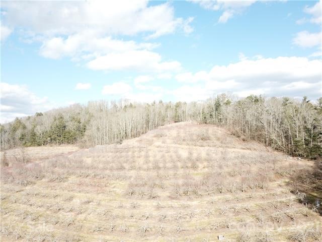 999999 Chimney Rock Rd, Hendersonville, NC 28792 - photo 1
