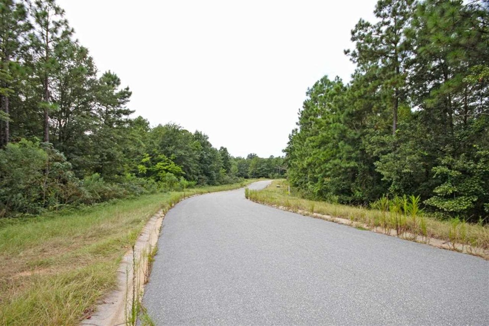 53 residential Lots Plus 31 90 Acres, Byron, GA 31008 - photo 1
