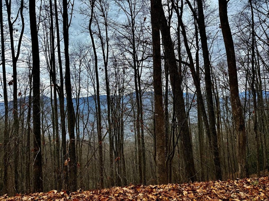 unlisted-address, Barkers Creek, NC 28789 - photo 1