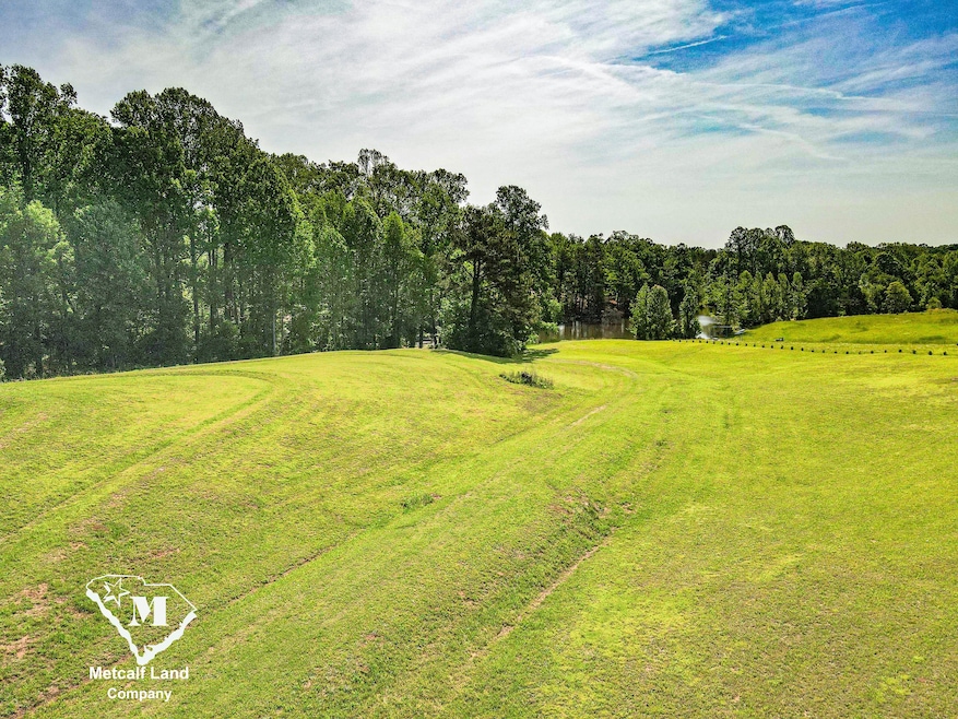 0 Redland Rd unit 23403171, Campobello, SC 29322 - photo 1