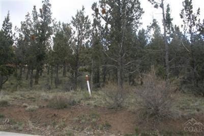 0 Bryce Canyon Ln unit lot46 201103341, Bend, OR 97701 - photo 1