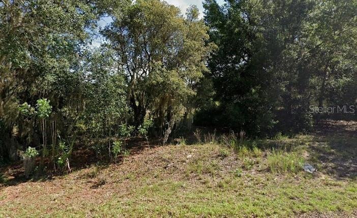 0 Malauka Loop unit MFRO6199962, Ocklawaha, FL 32179 - photo 1