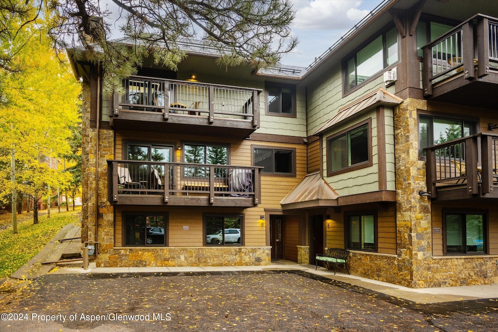 650 S Monarch St unit 9, Aspen, CO 81611 - photo 1