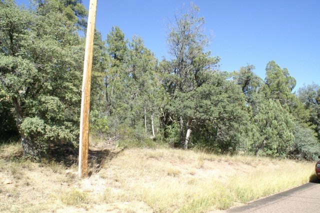 235 Jan Dr, Pine, AZ 85544 - photo 1