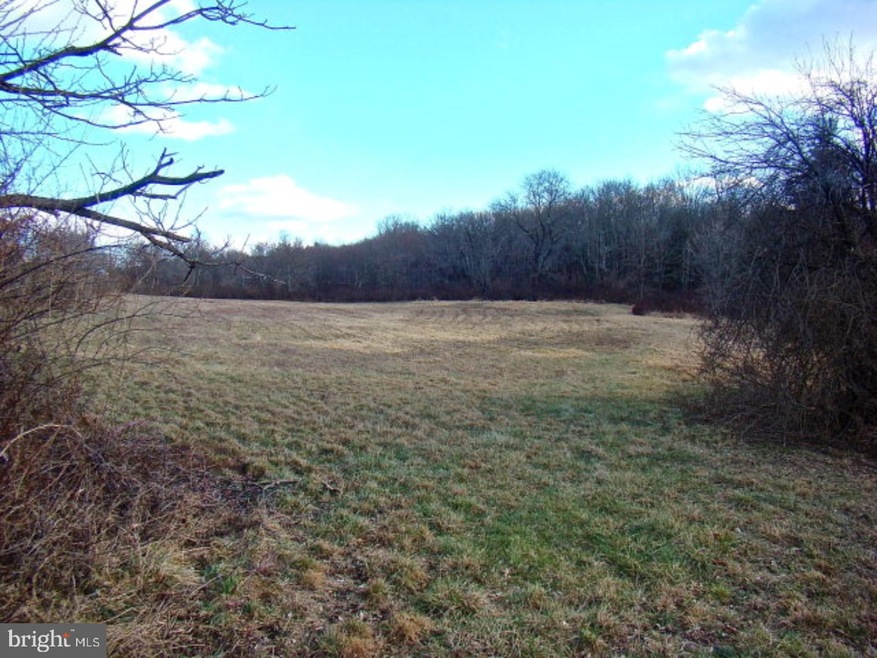 0 Route 895 unit 1002321792, New Ringgold, PA 17960 - photo 1