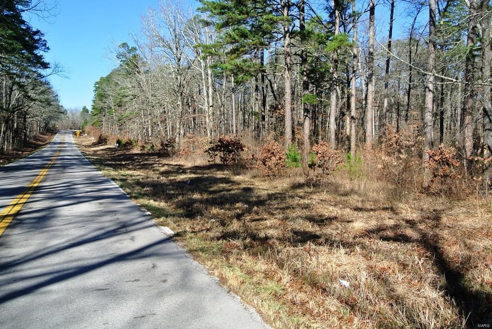 0 Pp Hwy unit 3 19028457, Poplar Bluff, MO 63901 - photo 1