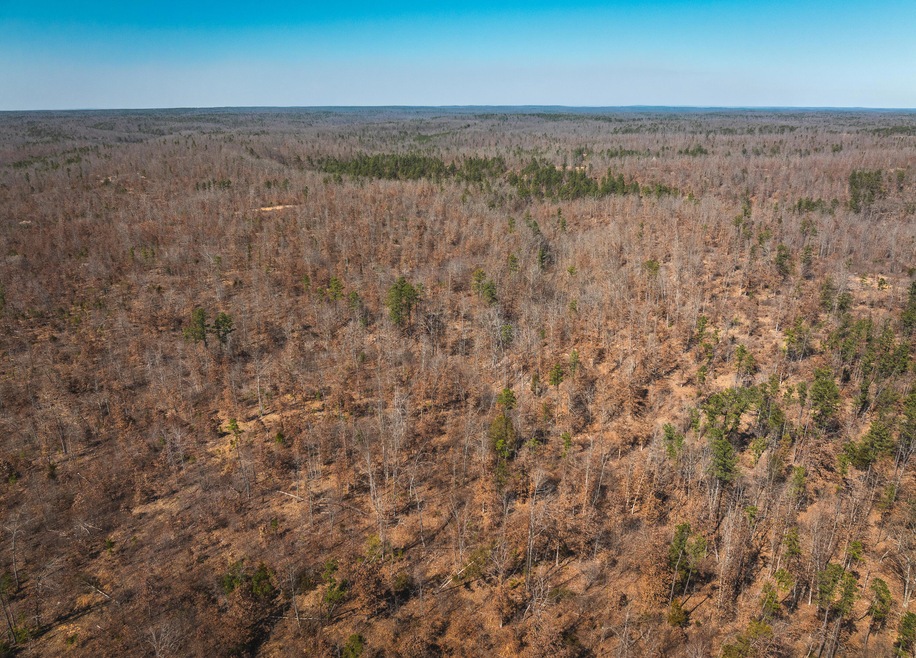 DJI_20240321143856_0159_D