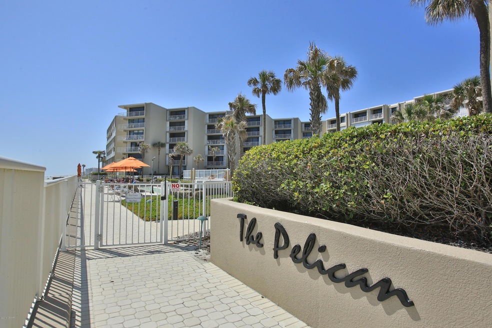 The Pelican