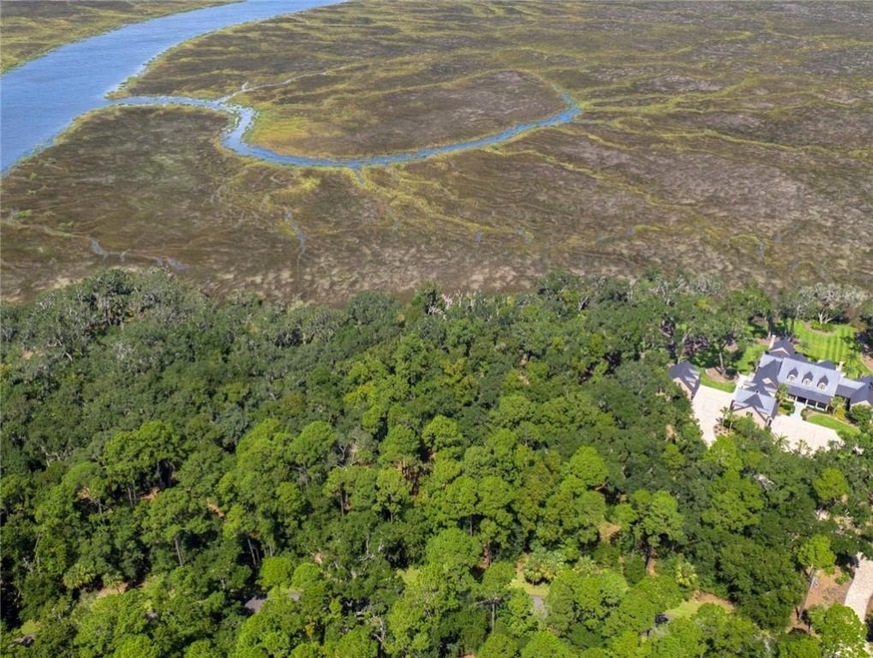 334 Pikes Bluff Dr unit (Lot 199), Saint Simons Island, GA 31522 - photo 1