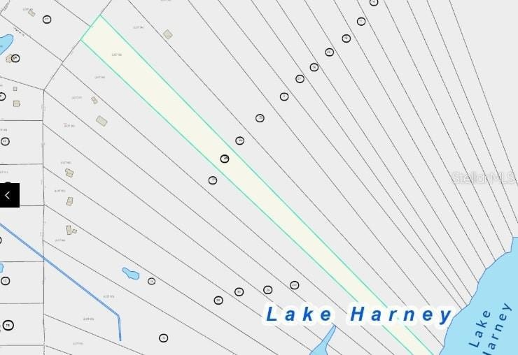 000A E Osceola Rd, Geneva, FL 32732 - photo 1