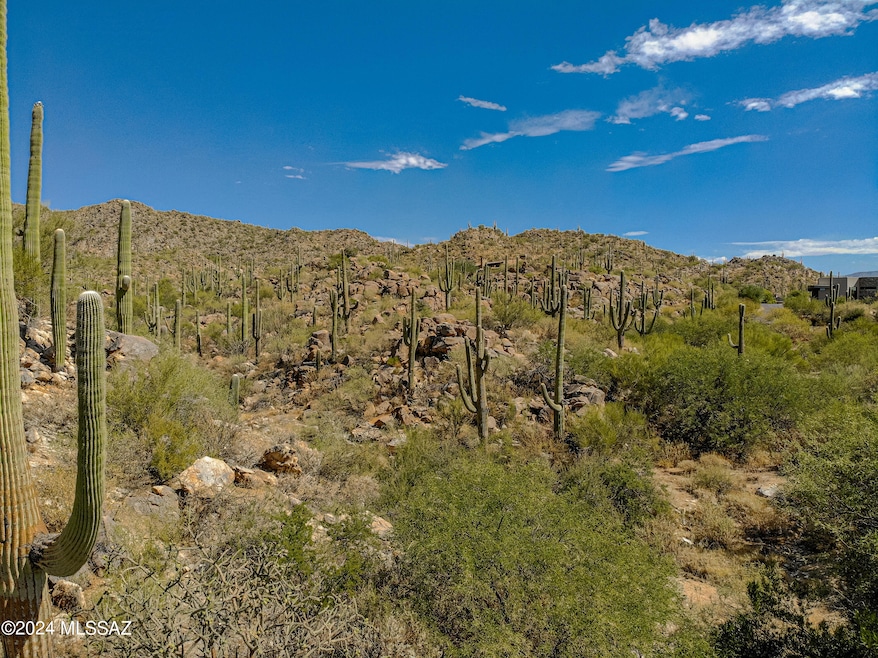 1173 W Tortolita Mountain Cir unit 182, Oro Valley, AZ 85755 - photo 1