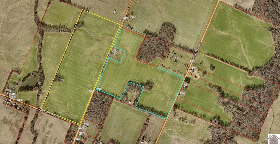 000 Crawford Lake Rd, Kevil, KY 42053 - photo 1