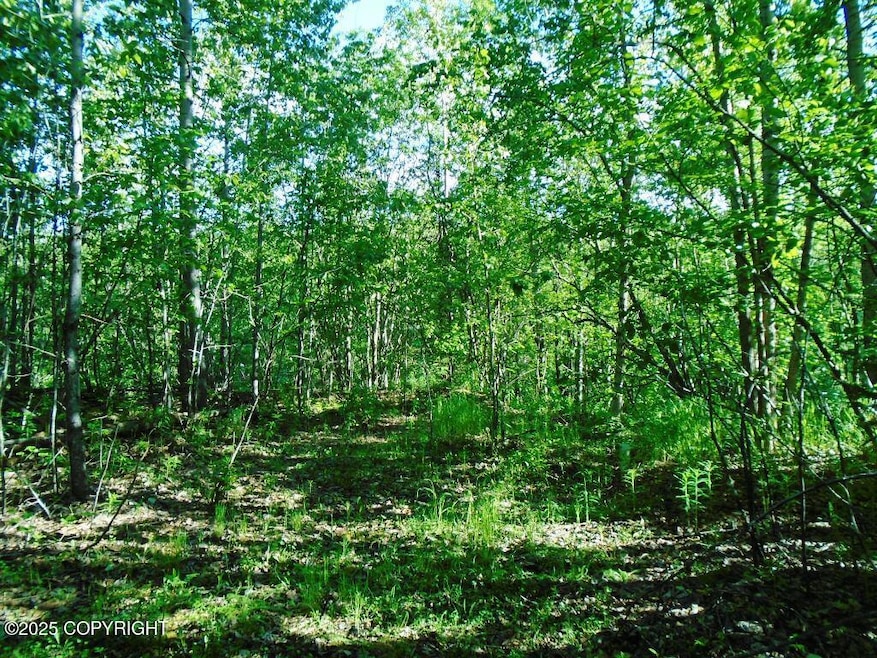 Tr 3 Park Dr, Anchorage, AK 99567 - photo 1