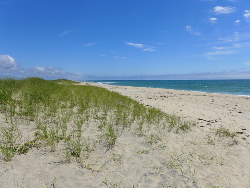 0 Black Point Beach Lot, Chilmark, MA 02535 - photo 1
