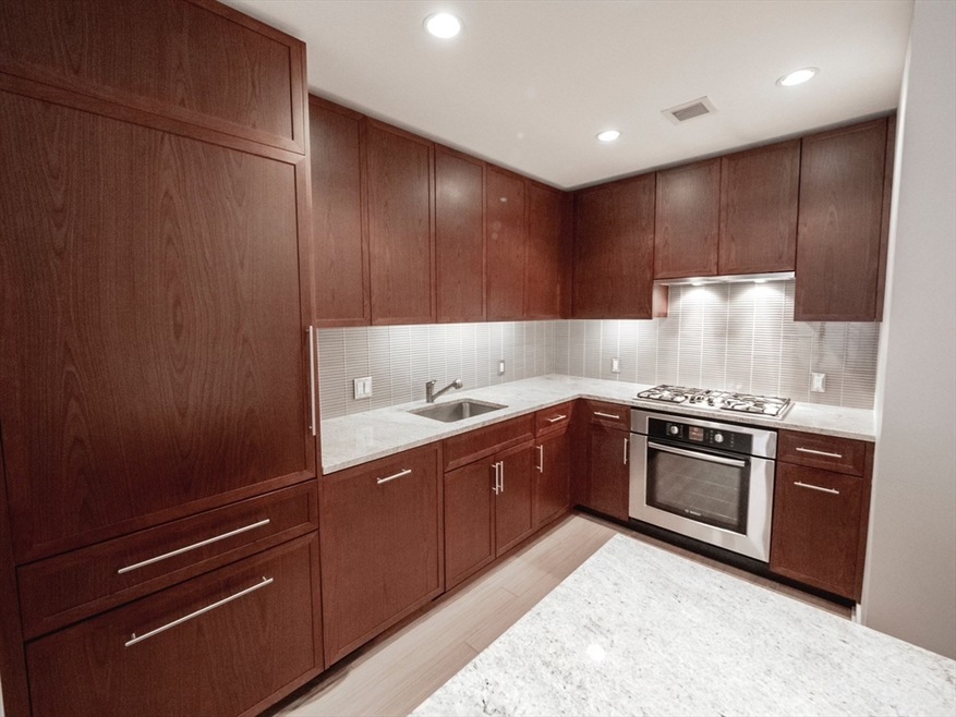 Millenium Place unit 410, Boston, MA 02111 - photo 1