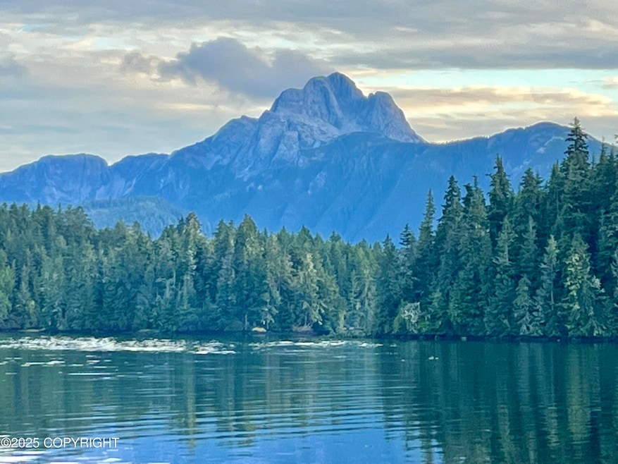 L3B2 Port Protection, Port Protection, AK 99000 - photo 1